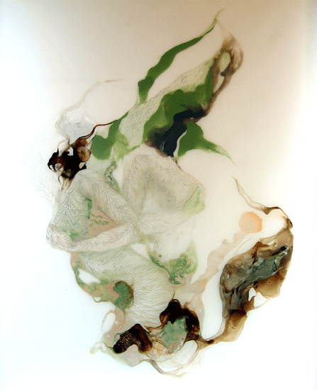 Rotte Tree 2007-12