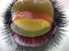 Synesthesia;about Tactile Sensation