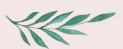 Final Logo.png