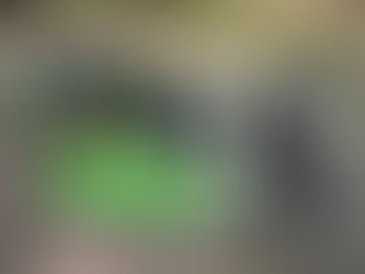 【この時期年内最後の草刈りに 雑草にお悩みではありませんか? 乗用草刈り機】