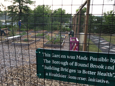 The Bound Brook Community Garden is in full swing for the summer!