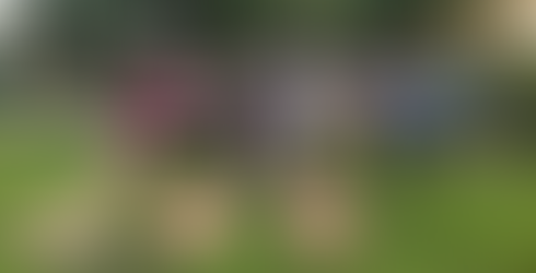 Student Ambassadors Transform Park