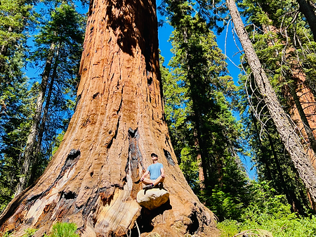 Mapacho healing with ayahuasca at Modern Ancient Sanctuary in Iquitos, Peru