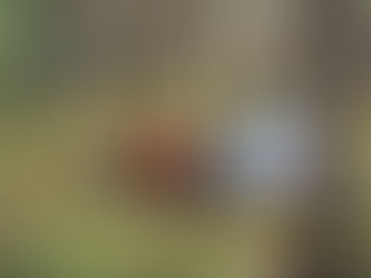 É hora de voltar a pôr as mochilas às costas