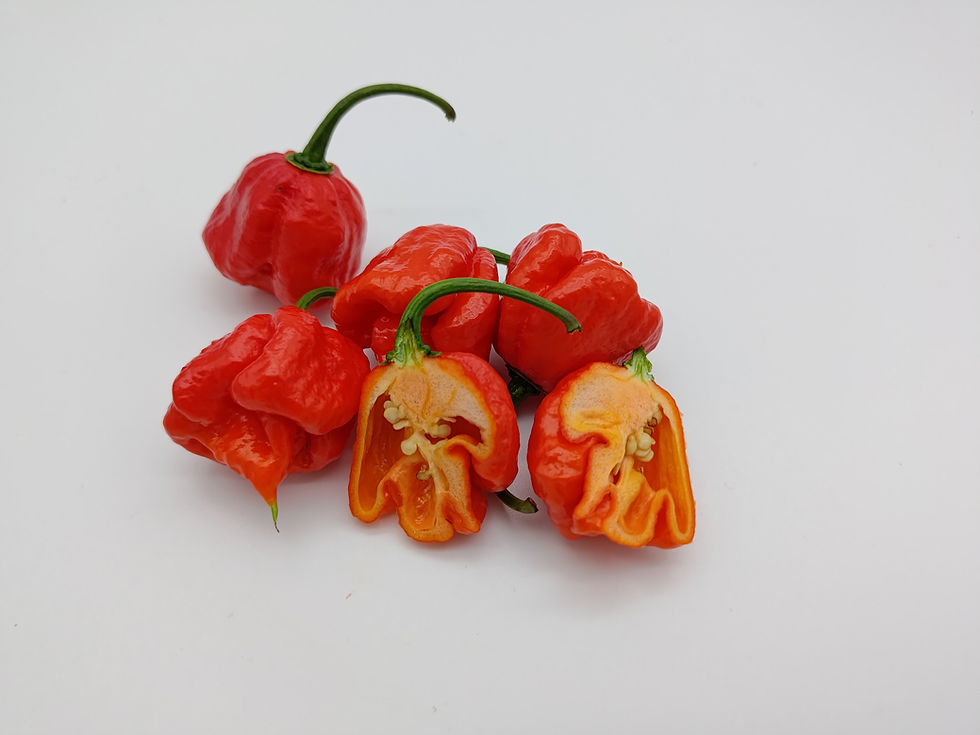 Thumbnail: Carolina Reaper Powder