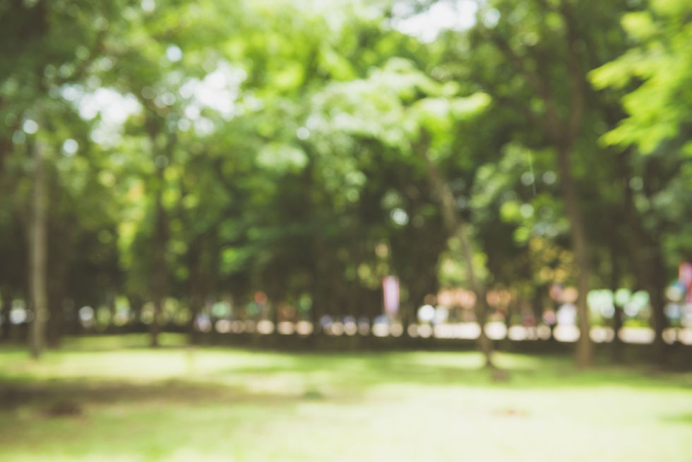 blur-nature-green-park-with-bokeh-sun-light-abstract-background-copy-space-travel-adventur