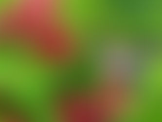 O MEDO E A FELICIDADE