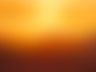 NOVA VIDA, VIDA NOVA: DESAFIOS