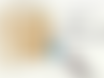 CANSEI, ESTOU INDO PARA NÁRNIA