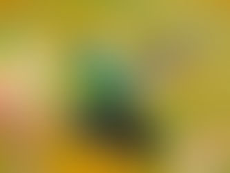 JÁ VIU UM PÁSSARO PREOCUPADO?