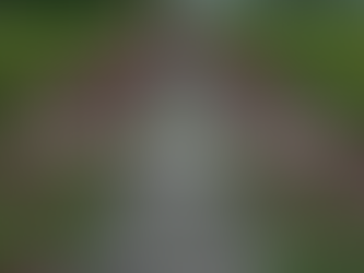 FIO DA MINHA ESSÊNCIA