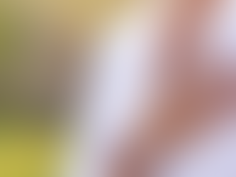 EM BUSCA DA VERDADEIRA ESSÊNCIA (uma pequena reflexão)