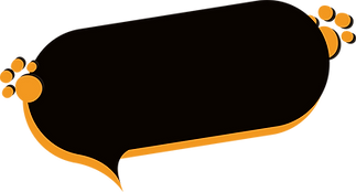 Untitled-1-01.png