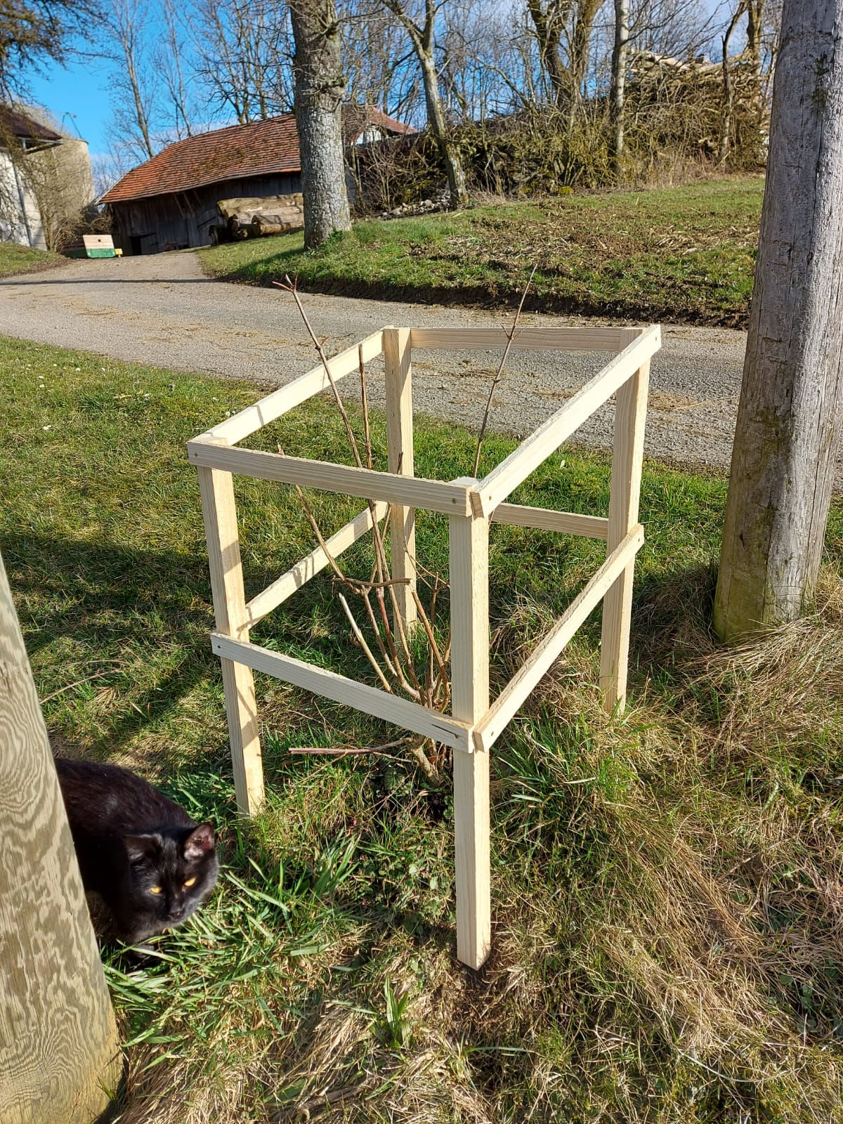 Baumschutz handgemacht