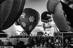 20241011-Albuquerque International Balloon Fiesta 2024-6766