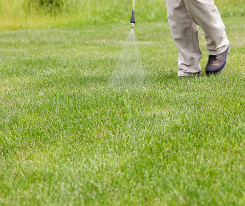 Herbicide Application.png