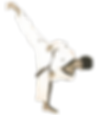 A skilled instructor at PURE TKD demonstrating advanced techniques to students.