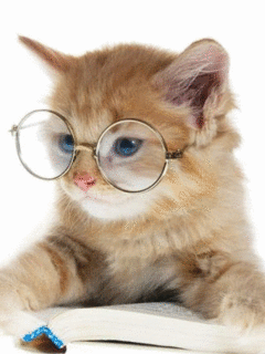 gato_con_anteojos.gif