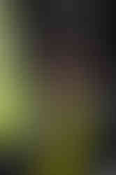 FDB - Campaign - SS 2025 - 3.jpg