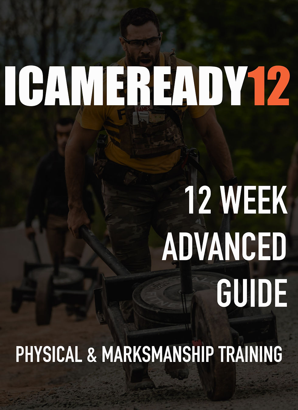ICAMEREADY12