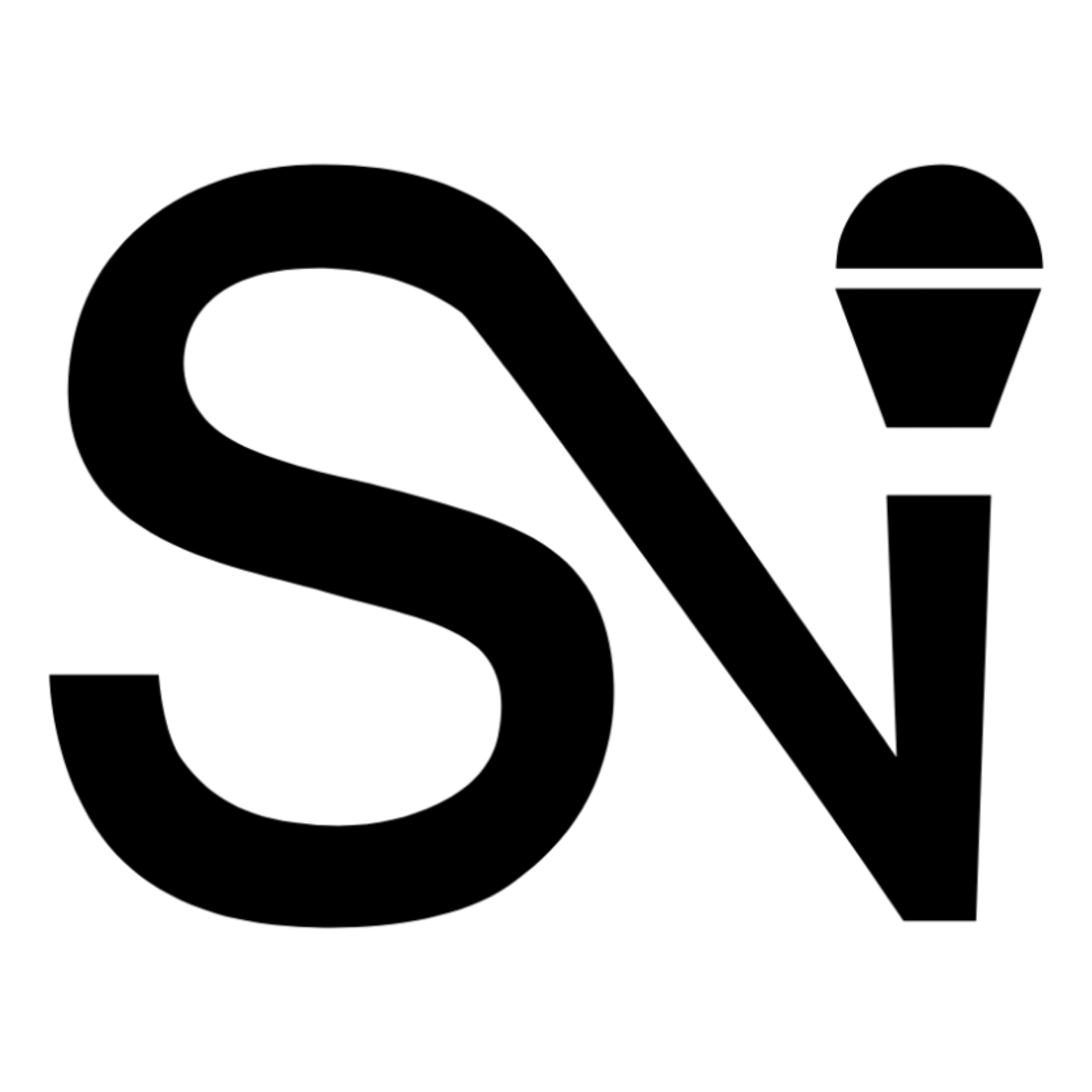 Logo Steve Nick.png