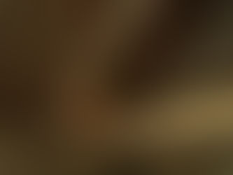 Commune de DIXMONT (Suivi 2023)