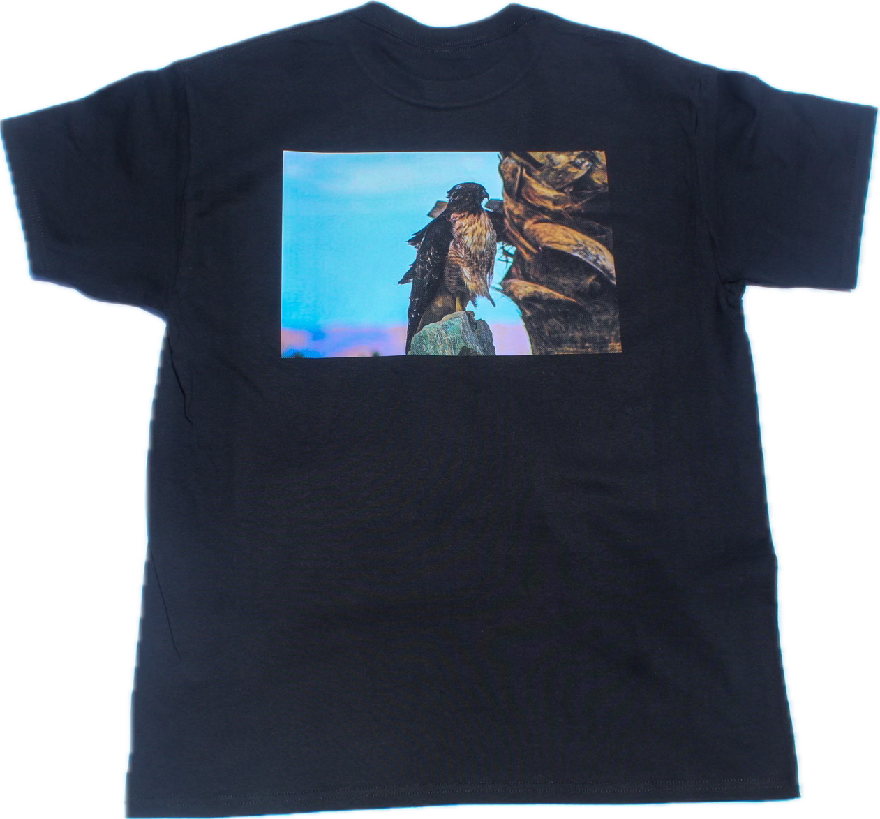 VONSHOUSE FALCON TEE