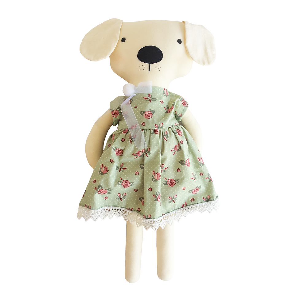 Miniatura: Cachorra Amora - B15142