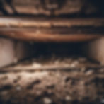 crawlspace under a house.jpg