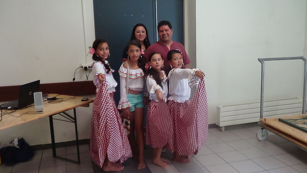 20 DE JULIO 2013