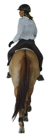 young-woman-trains-horseback-riding-arena-young-caucasian-woman-formal-clothing-horseback-