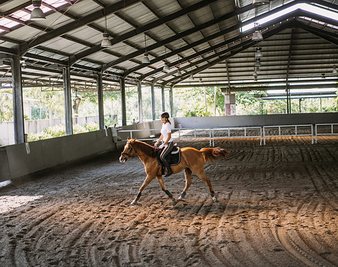 young-woman-trains-horseback-riding-arena-young-caucasian-woman-formal-clothing-horseback-