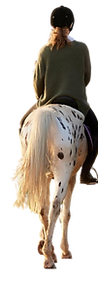 woman-horse-riding-nature-back-countryside-ranch-weekend-break-summer-adventure-outside-ho