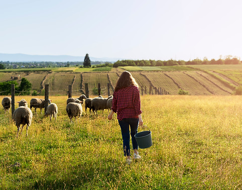 back-view-woman-shepherd-field.jpg