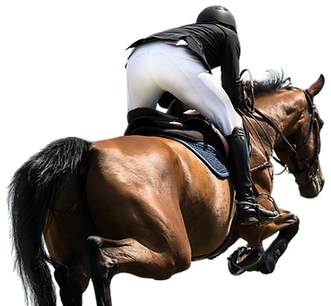 rear-view-woman-riding-horse-competition.png