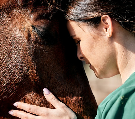 pet-doctor-woman-with-care-horse-medical-examination-research-health-check-healthcare-nurs