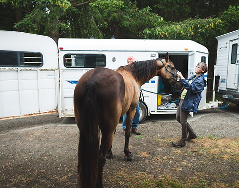 mature-woman-with-horse-seen-through-entrance.jpg