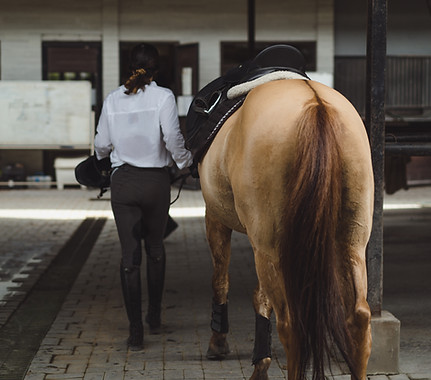 woman-groomer-washes-horse-s-hooves-after-class-hippodrome-woman-takes-care-horse-washes-h
