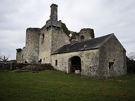 Derelict castle typical of Barn Owl nesting site