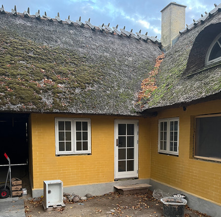 Nye vinduer og filtsning af facade