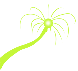 ezgif.com-rotate.gif