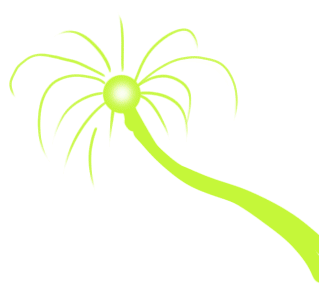 palm.gif