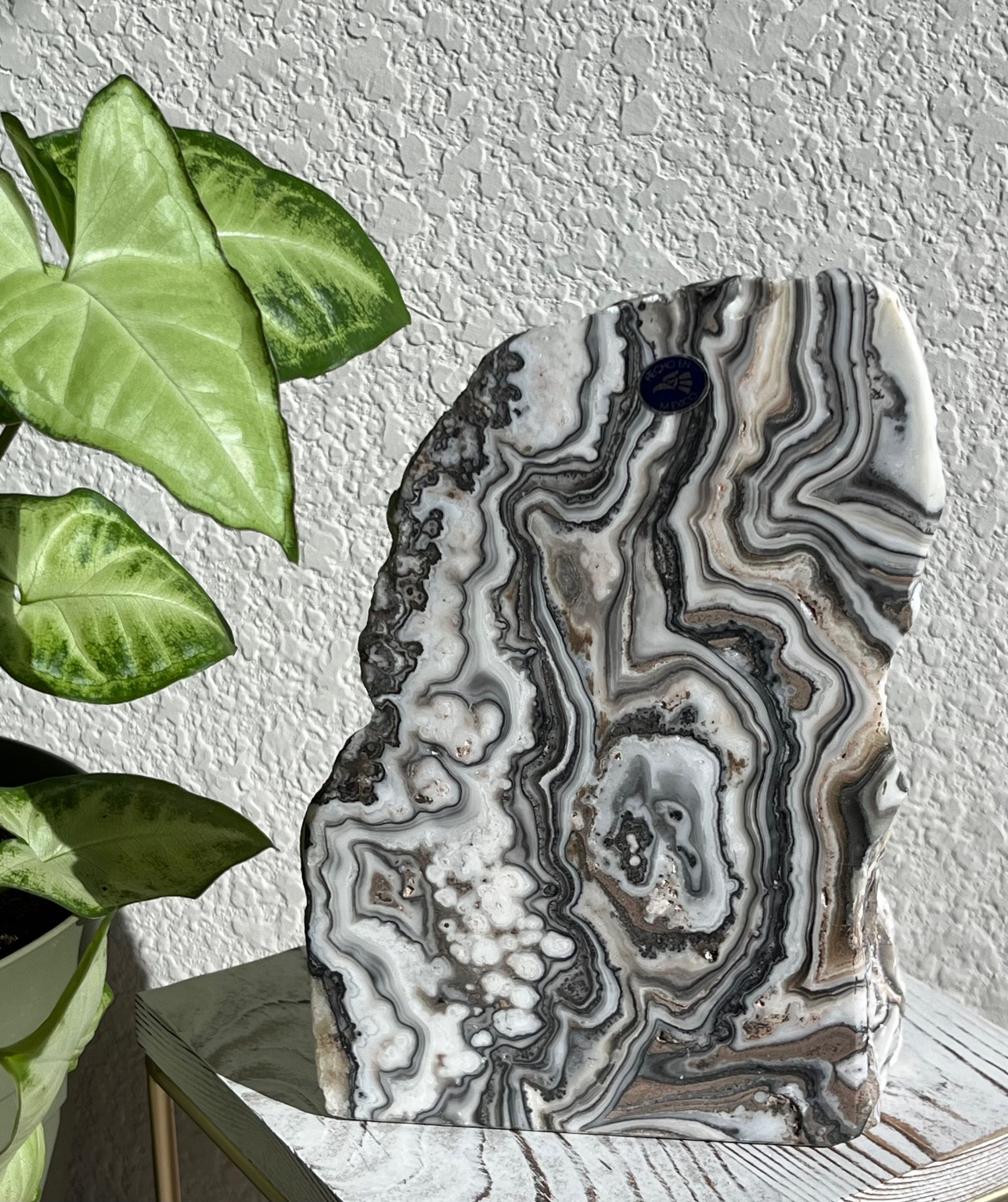 Mexican Onyx/Calcite Freeform
