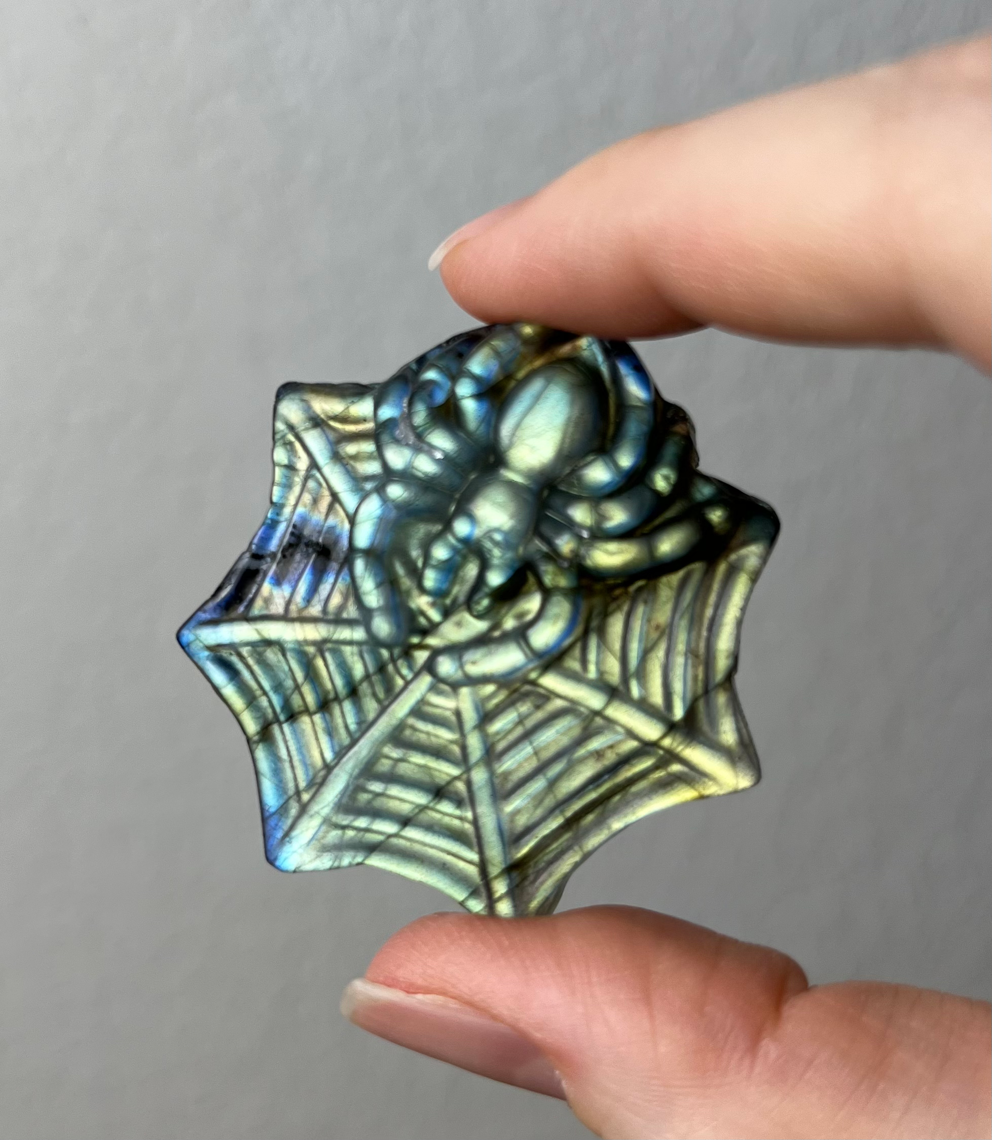 Labradorite Spider