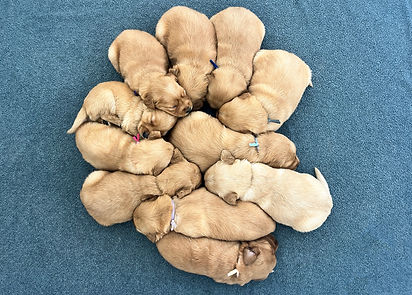 3 weeks old.jpg