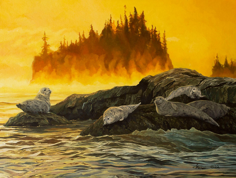 Courtney Moore: Seals at Sunrise