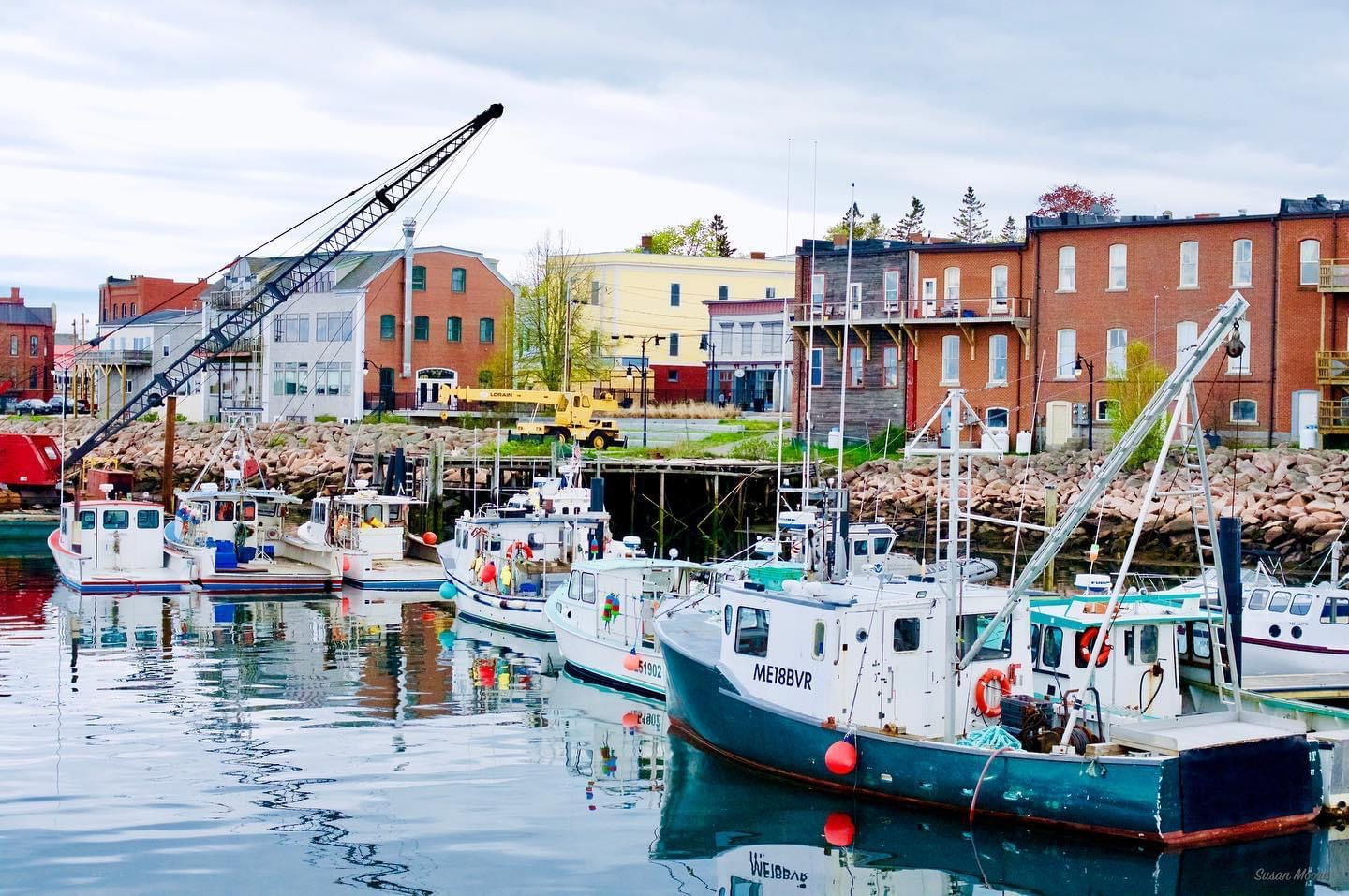 Susan Moore: Eastport Inner Basin - Boats With Construction Crane