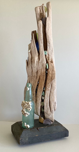 Glorious Piece of Driftwood