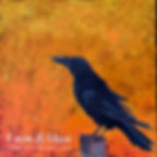 Artist Show Opens: Crow & Hare
