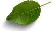 flyer farinheira (1920 px × 1080 px).png